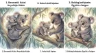 Koala mese gyerekeknek – Kuki, a kis koala maci kalandja